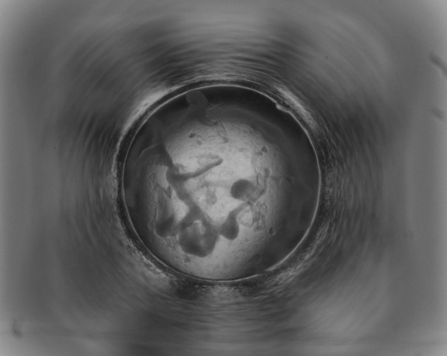 X0000091580787200708271219