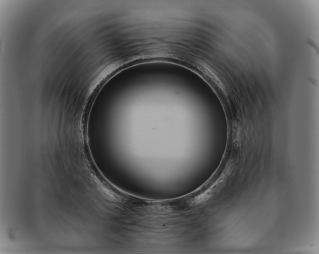 X0000091580789200708271219