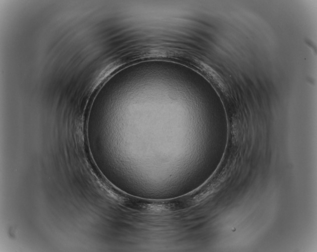 X0000091580794200708271219