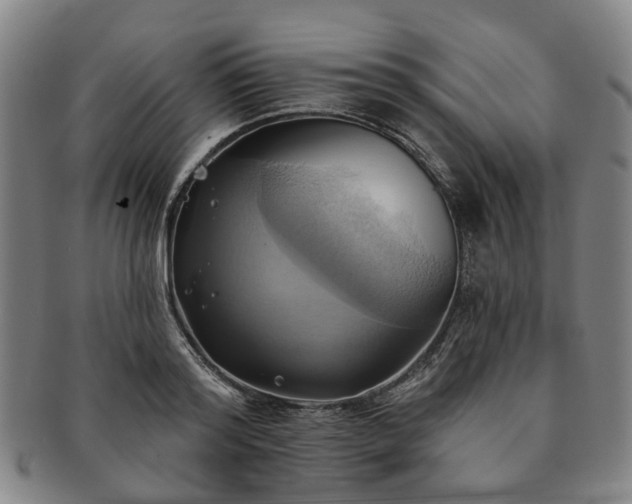 X0000091580796200708271219