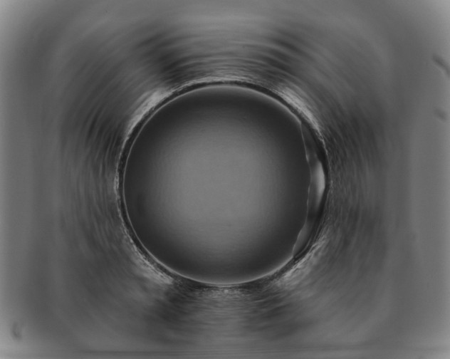 X0000091580797200708271219