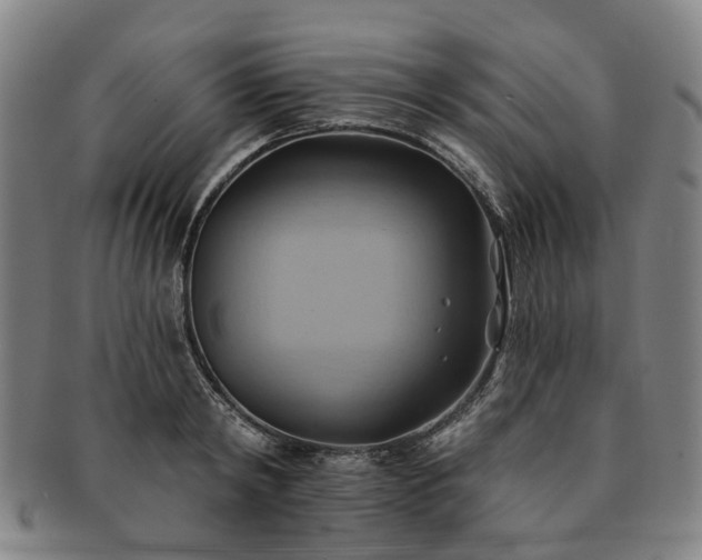 X0000091580798200708271219