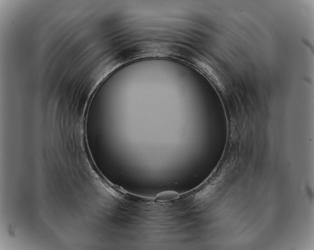 X0000091580802200708271219