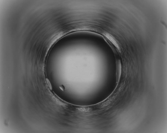 X0000091580805200708271219