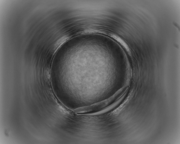 X0000091580809200708271219