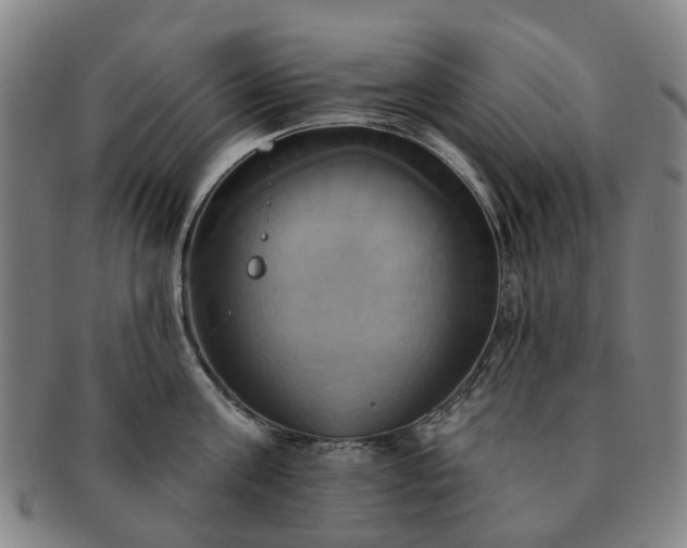 X0000091580811200708271219