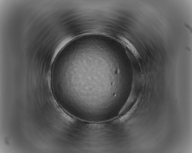 X0000091580812200708271219