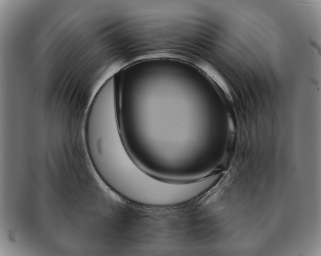 X0000091580813200708271219