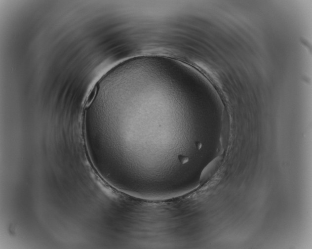 X0000091580816200708271219