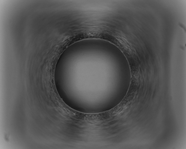 X0000091580817200708271218