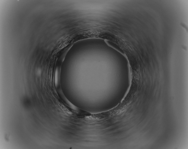 X0000091580818200708271218