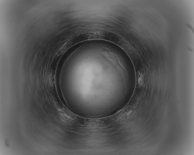 X0000091580819200708271218
