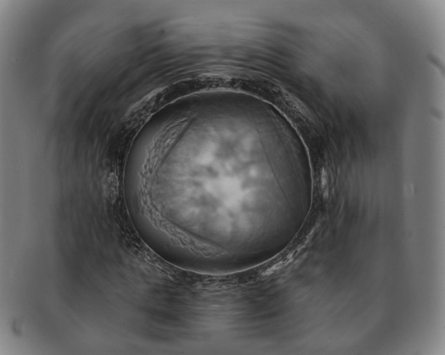 X0000091580821200708271218