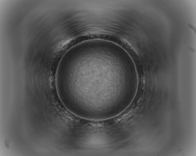 X0000091580822200708271218