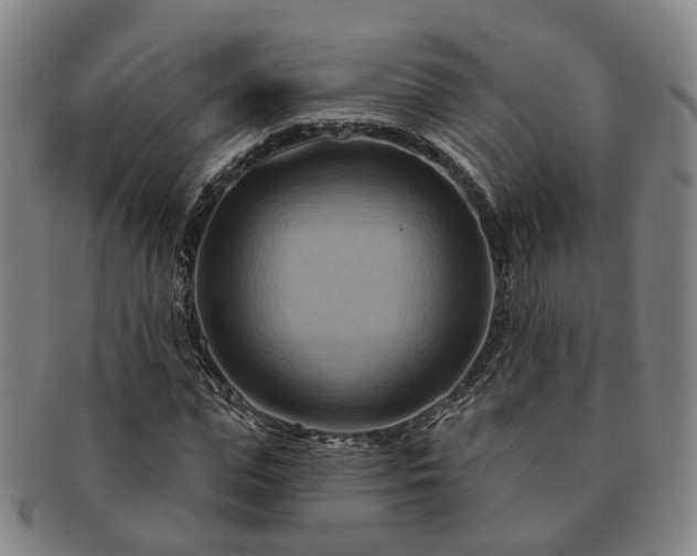 X0000091580823200708271218