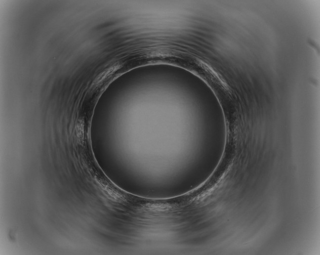 X0000091580825200708271218