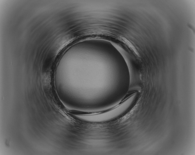 X0000091580826200708271218