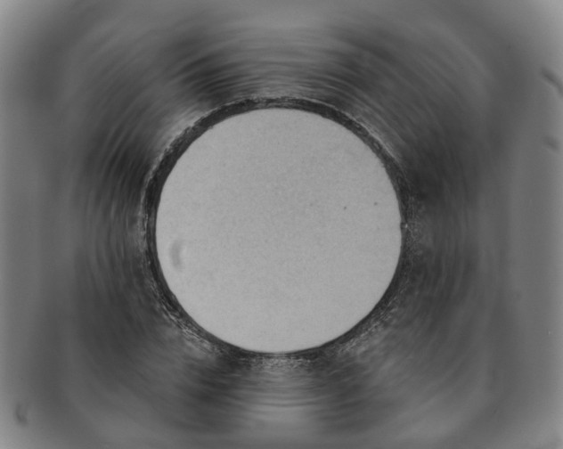 X0000091580832200708271218