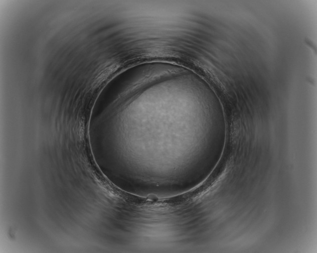 X0000091580833200708271218