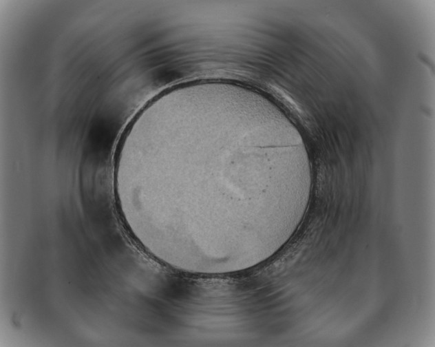 X0000091580836200708271218