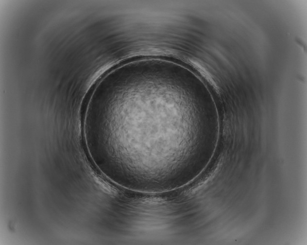 X0000091580837200708271218