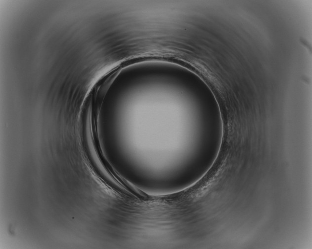X0000091580838200708271218