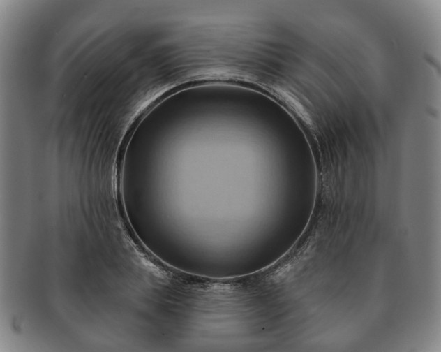 X0000091580839200708271218