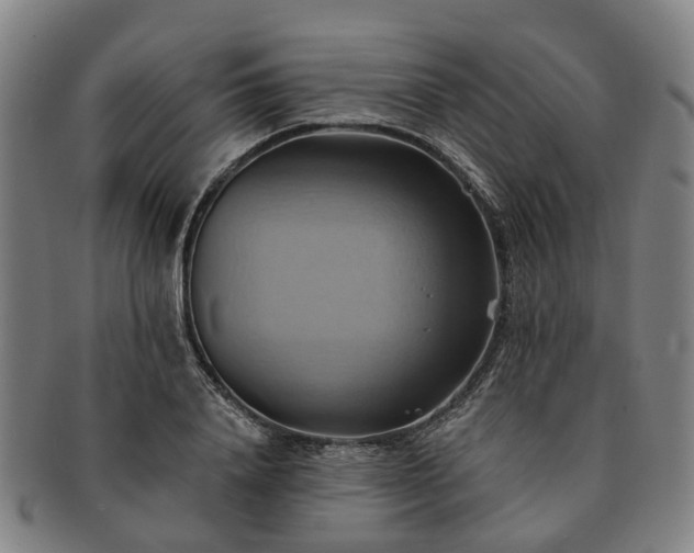 X0000091580840200708271218