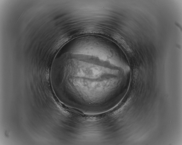 X0000091580841200708271218