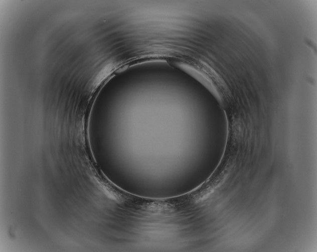 X0000091580842200708271218