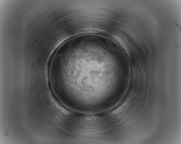 X0000091580843200708271218