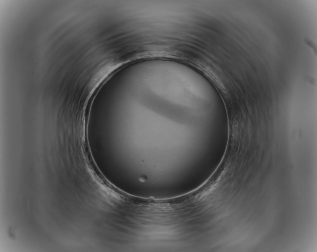 X0000091580844200708271218