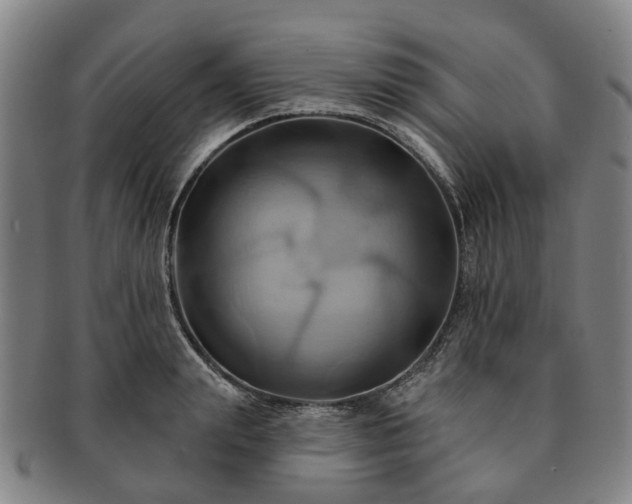 X0000091580847200708271218