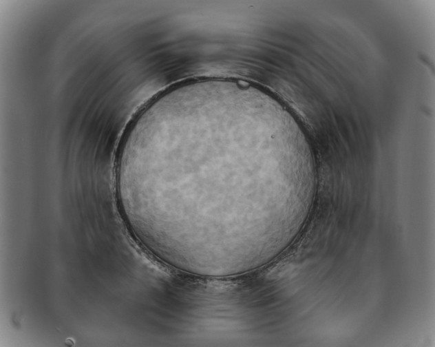 X0000091580848200708271218