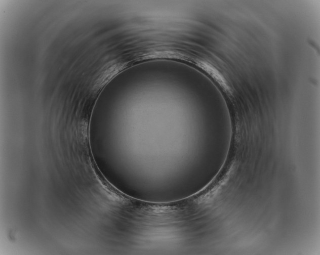 X0000091580849200708271218