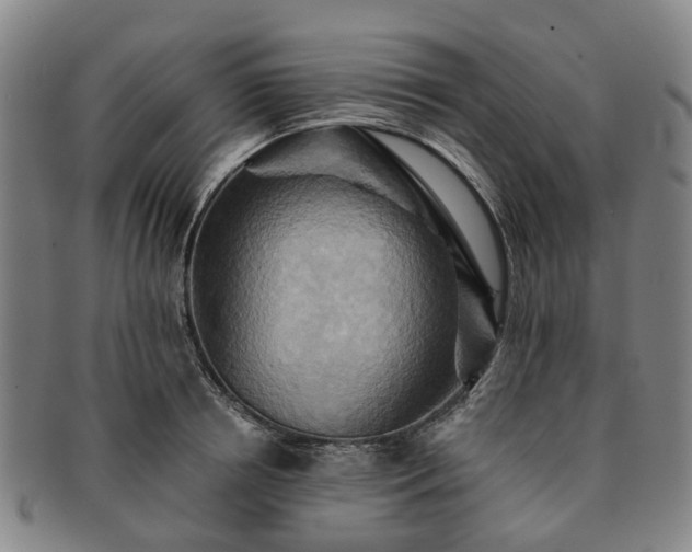 X0000091580850200708271218