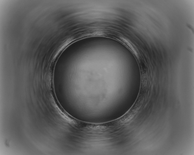 X0000091580851200708271218