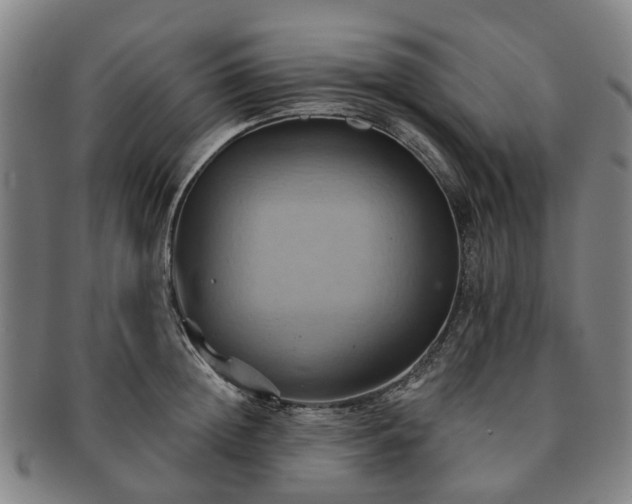 X0000091580852200708271218