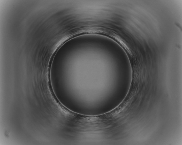 X0000091580853200708271218