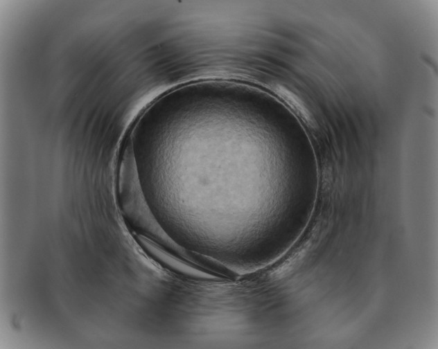 X0000091580854200708271218