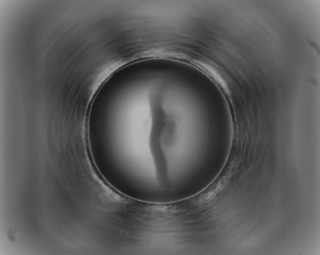 X0000091580855200708271218