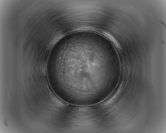 X0000091580857200708271218
