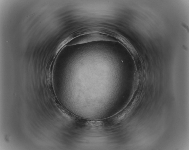X0000091580858200708271218