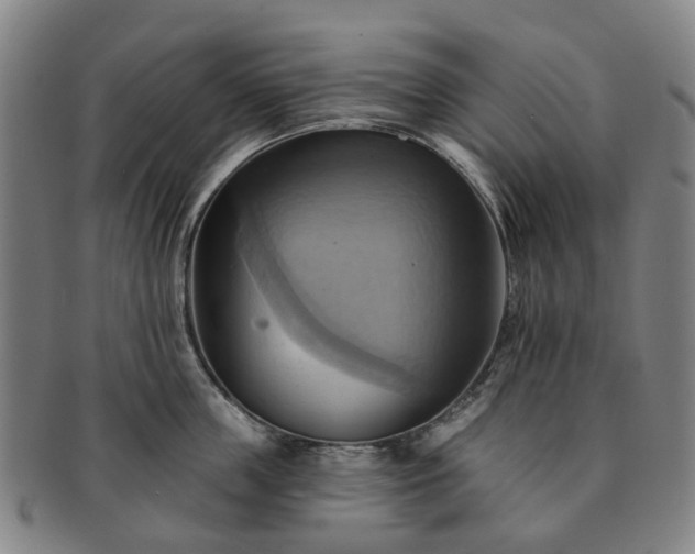 X0000091580859200708271218