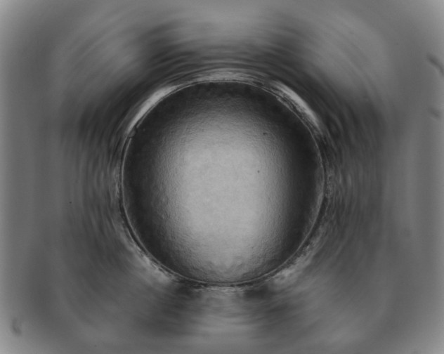 X0000091580860200708271218
