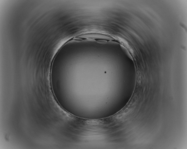 X0000091580863200708271219