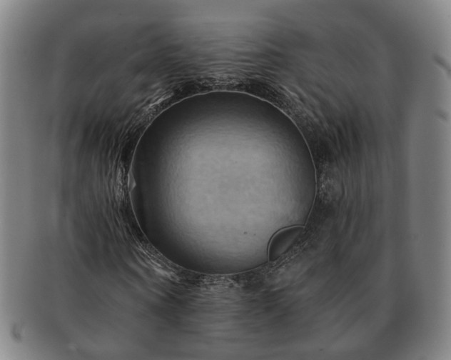 X0000091580866200708271218