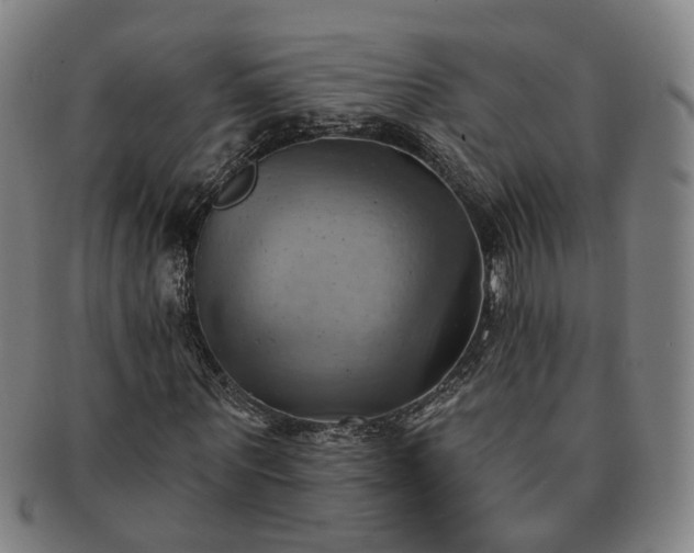 X0000091580867200708271218