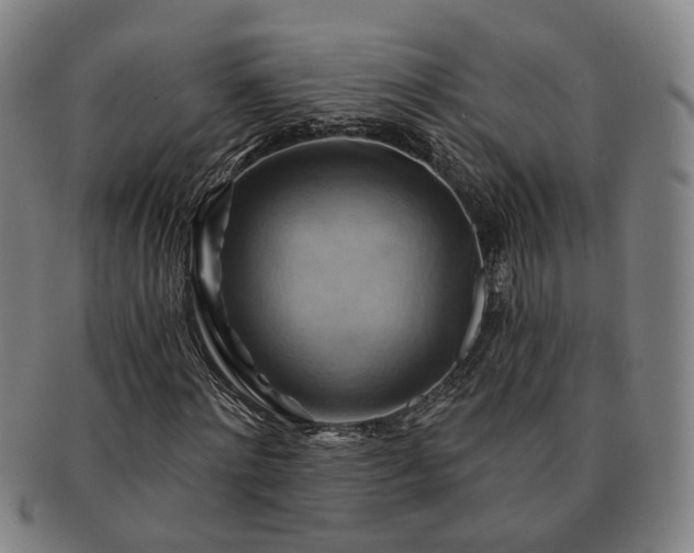 X0000091580868200708271218