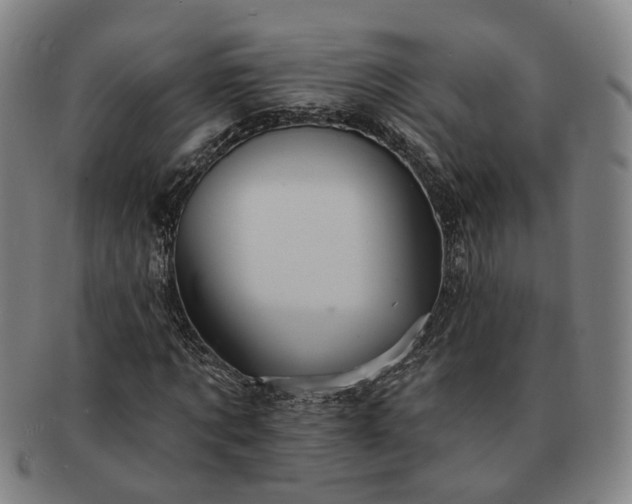 X0000091580869200708271218